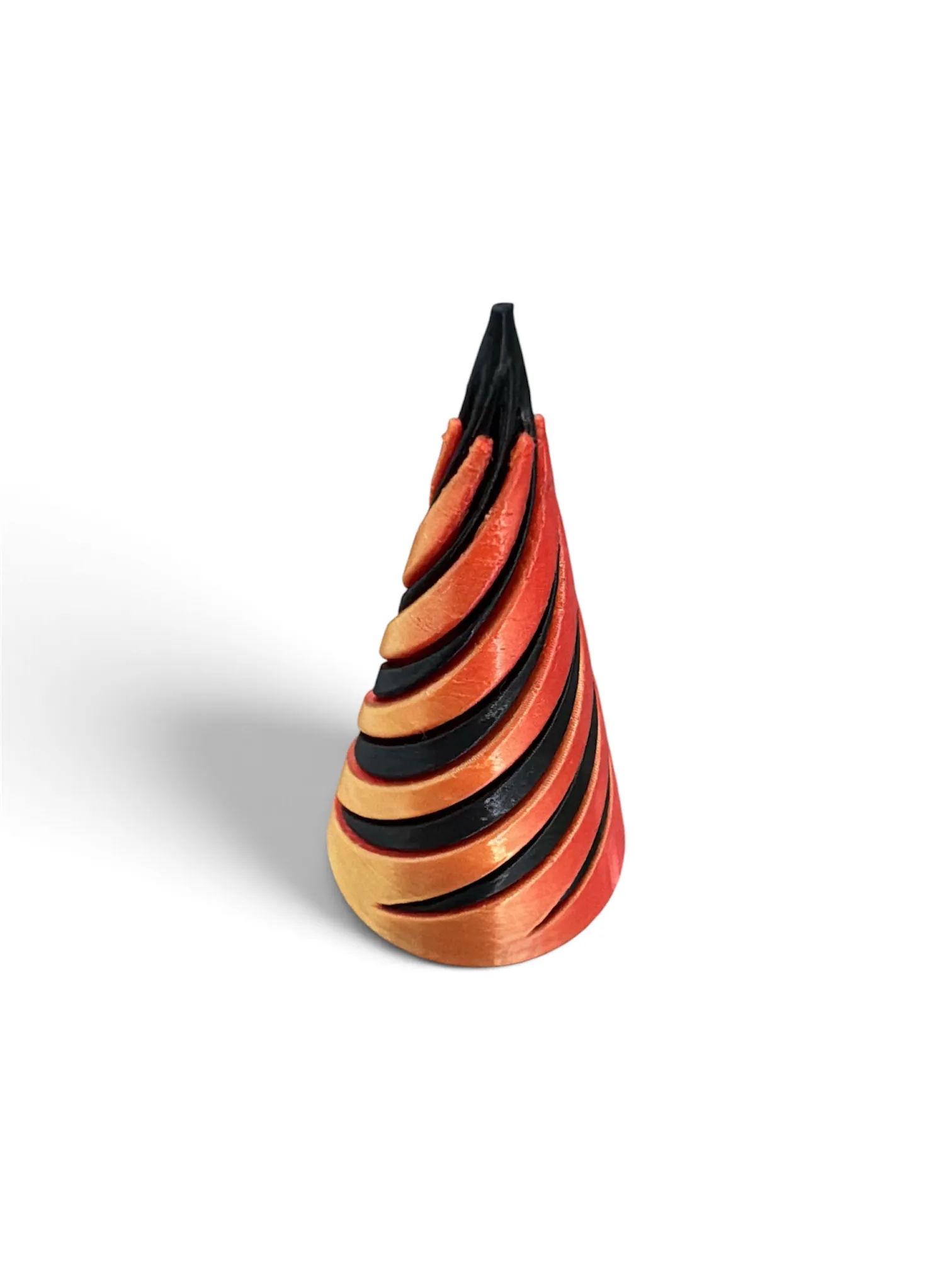 Cono espiral, foto 4
