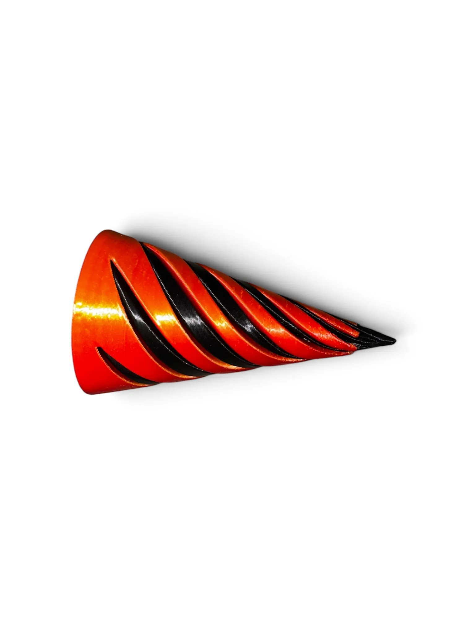 Cono espiral, foto 5